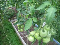 IMG_6783.jpg
