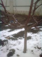 СС 20.03.16.jpg