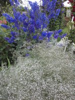 2015-07-09 13-16-26-min.JPG