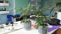 20160712_142249.jpg