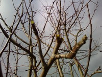 IMG_20160402_150346.jpg