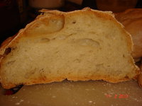 DSC07919.JPG