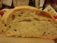 DSC07921.JPG