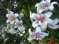 20160714_072929.jpg