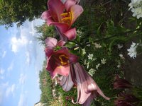 20160714_073108.jpg