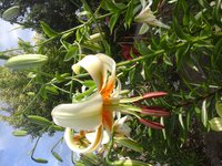 20160714_073126.jpg
