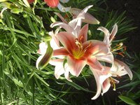 20160714_073321.jpg
