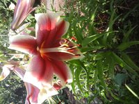 20160714_073343.jpg