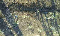 20160530_185954.jpg