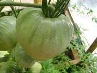 DSC06159.JPG
