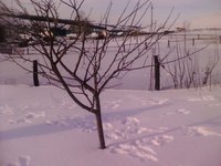 высоковато..