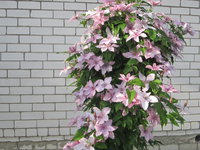 IMG_2098.JPG