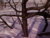 IMG0183A.jpg