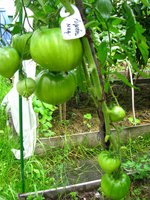 IMG_0865-1.jpg