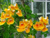 IMG_0881-1.jpg