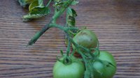 DSC07113к.jpg