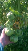 WP_20160717_003.jpg