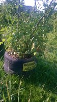 WP_20160717_004.jpg