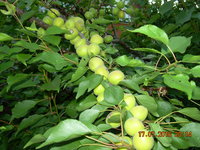 DSCN1280.JPG