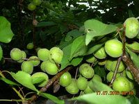 DSCN1281.JPG