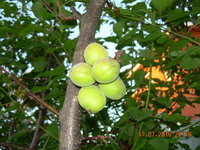 DSCN1284.JPG