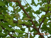 DSCN1286.JPG