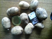 20160718_091120.jpg