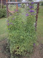 2016-07-09 18-50-52-min.JPG
