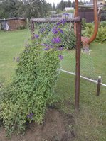 2016-07-09 18-51-00-min.JPG