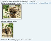 Фотка повернулась сама как надо.jpg