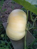 CAM00377.jpg