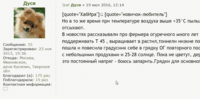 Дуся.gif (2.73 МБ) 1770 просмотров Цитируем выделенный текст