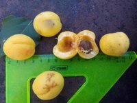 IMG_20160719_200652.jpg