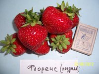 Это фото с Ягодного форума. http://club.wcb.ru/index.php?showtopic=2832&amp;view=findpost&amp;p=71214