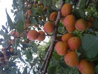 20160714_073745.jpg