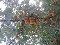 20160714_073940.jpg