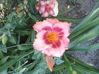 20160714_072936.jpg