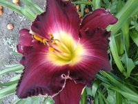 20160719_100738.jpg