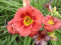 20160719_100801.jpg