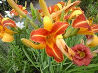 20160719_100813.jpg