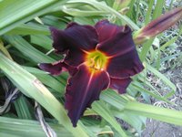 20160719_100903.jpg