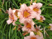 20160719_100954.jpg