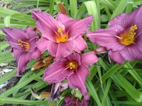 20160719_101011.jpg