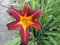 20160719_100835.jpg