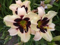 20160719_101018.jpg