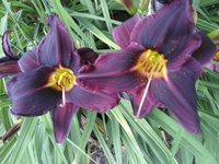 20160719_101045.jpg