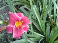 20160719_101410.jpg