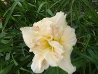 20160719_100647.jpg