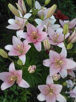 2015-07-18 20-34-59.JPG