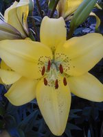 2015-07-18 20-37-50.JPG